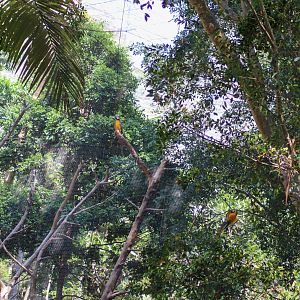 Entrance to Lost Valley Aviary - January 2020