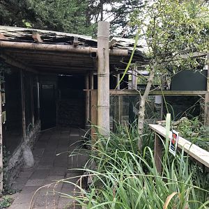 Père David’s rock squirrel and house mouse to left, American mink to right