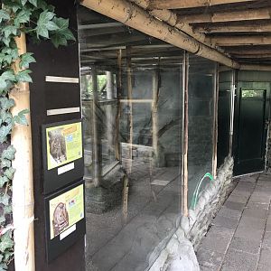 Père David’s rock squirrel and house mouse