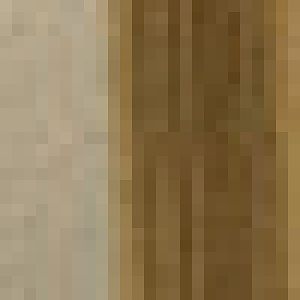 Eurasian harvest mouse