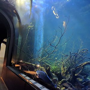 Danube Tunnel right Side