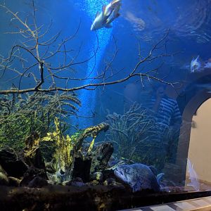 Danube Tunnel left side