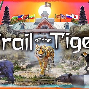 The Trail of the Tiger | Zoo Tours