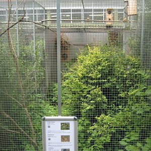 Nordsjællands Fuglepark - Aracari aviary