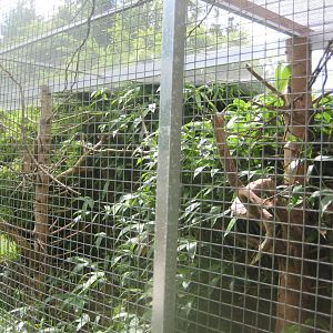 Nordsjællands Fuglepark - Mixed aviary
