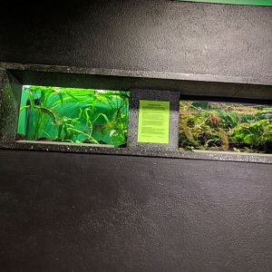Smaller Freshwater Aquariums