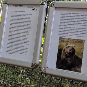Sign about Susi the Last European Brown Bear