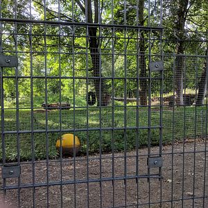 Former European Brown Bear Enclosure