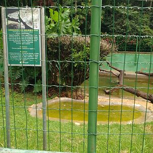 Former nile monitor exhibit, now holding some bearded sliders - Belo Horizonte zoo