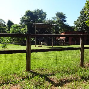 Zebra and elipsen-waterbuck paddock - Belo Horizonte zoo