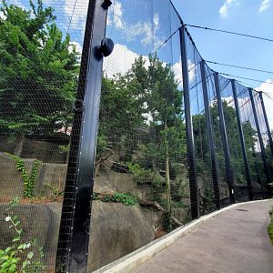 Aug. 2020 - Eagle Eyrie - Steller's Sea Eagle/Andean Condor Aviaries