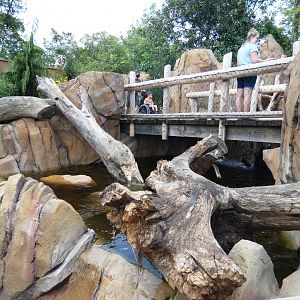 Aug. 2020 - New! Roo Valley - Waterfall