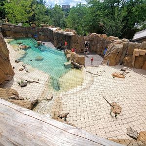 Aug. 2020 - New! Roo Valley - Little Penguin + 3 Others Exhibit