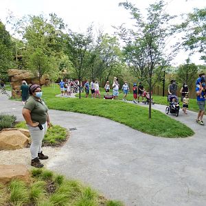 Aug. 2020 - New! Roo Valley - Kangaroo Walk-About (15,000 Sq Ft)