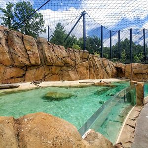 Aug. 2020 - New! Roo Valley - Little Penguin + 3 Others