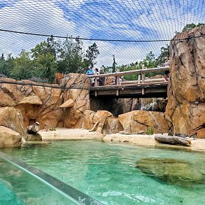 Aug. 2020 - New! Roo Valley - Little Penguin + 3 Others