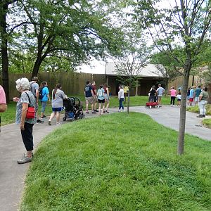 Aug. 2020 - New! Roo Valley - Kangaroo Walk-About (15,000 Sq Ft)