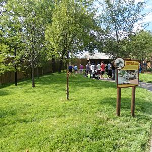 Aug. 2020 - New! Roo Valley - Kangaroo Walk-About (15,000 Sq Ft)