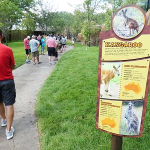 Aug. 2020 - New! Roo Valley - Kangaroo Walk-About (15,000 Sq Ft)