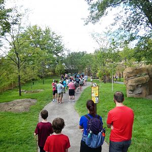 Aug. 2020 - New! Roo Valley - Kangaroo Walk-About (15,000 Sq Ft)