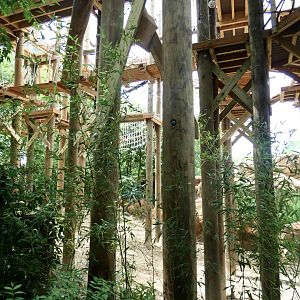 Aug. 2020 - New! Roo Valley - Rope Course (Former Sumatran Rhino Exhibit)