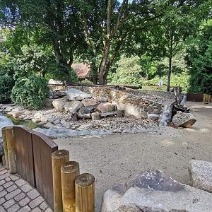 New part of the penguin enclosure 1