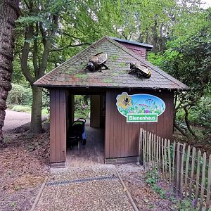 The new Bienenhause - Beehouse
