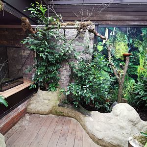 The new "butterfly corner" in Pukara