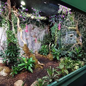 The new larger exhibit for hummingbirds