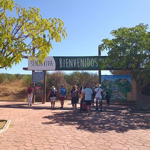 Entrance -Sendaviva (2020)