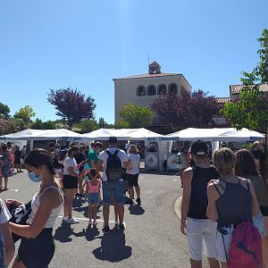 COVID-19 entry area -Sendaviva (2020)