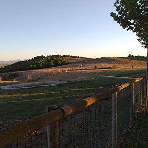 South-european water buffalo, Dromedary camel and Scottish highland cattle paddock  -Sendaviva (2020)