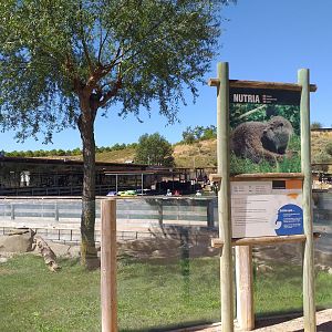 European otter exhibit -Sendaviva (2020)