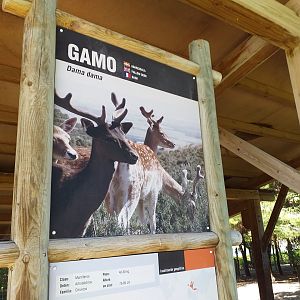 Common fallow deer sign -Sendaviva (2020)