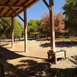 Empty exhibit -Sendaviva (2020)