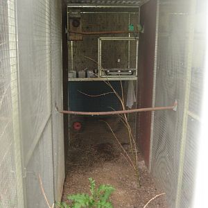 Nordsjællands Fuglepark - Mulga parrot aviary