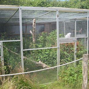 Nordsjællands Fuglepark - Rehabilitation aviary