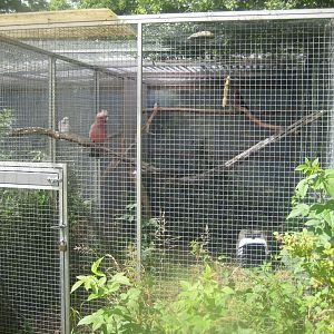 Nordsjællands Fuglepark - Rehabilitation aviary
