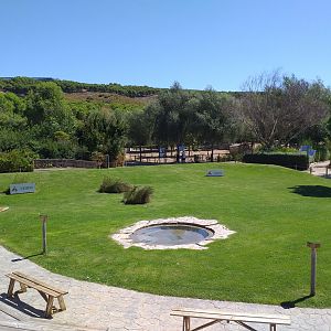 Birds of prey show arena -Sendaviva (2020)