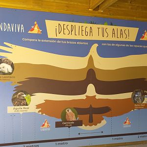 Wingspan sign -Sendaviva (2020)