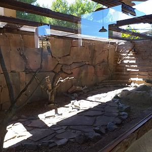 Now empty Common genet exhibit -Sendaviva (2020)