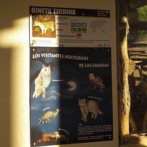 Common genet sign -Sendaviva (2020)