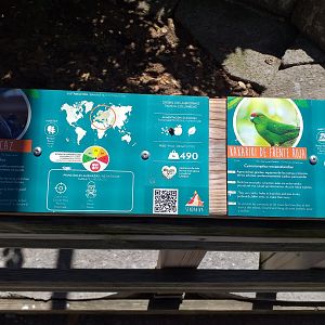 Red-crowned parakeet and Wood pigeon signs -Sendaviva (2020)