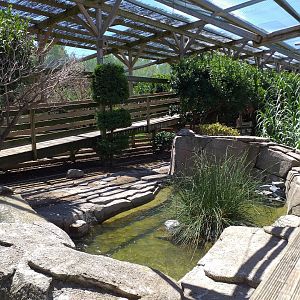 Aviary view -Sendaviva (2020)