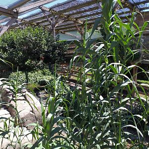 Aviary view -Sendaviva (2020)