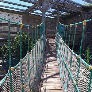 Aviary hanging bridge -Sendaviva (2020)