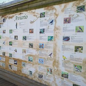 Aviary sign -Sendaviva (2020)