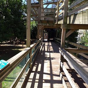 Aviary view -Sendaviva (2020)