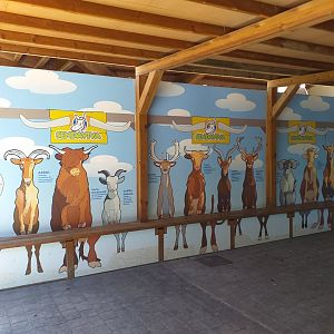 Horn and antler mural -Sendaviva (2020)