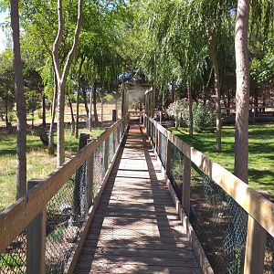 "Safari fotográfico" view -Sendaviva (2020)